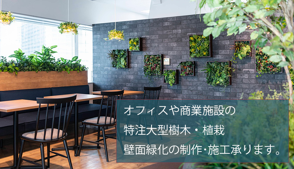 画像の説明